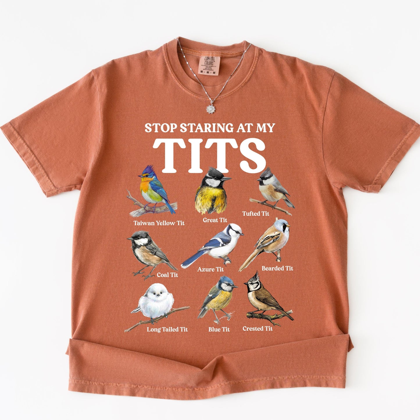 Y2K Tufted Titmouse Shirt, Birding TShirt, Vintage 90s Graphics Tee, Gift for Bird Lovers