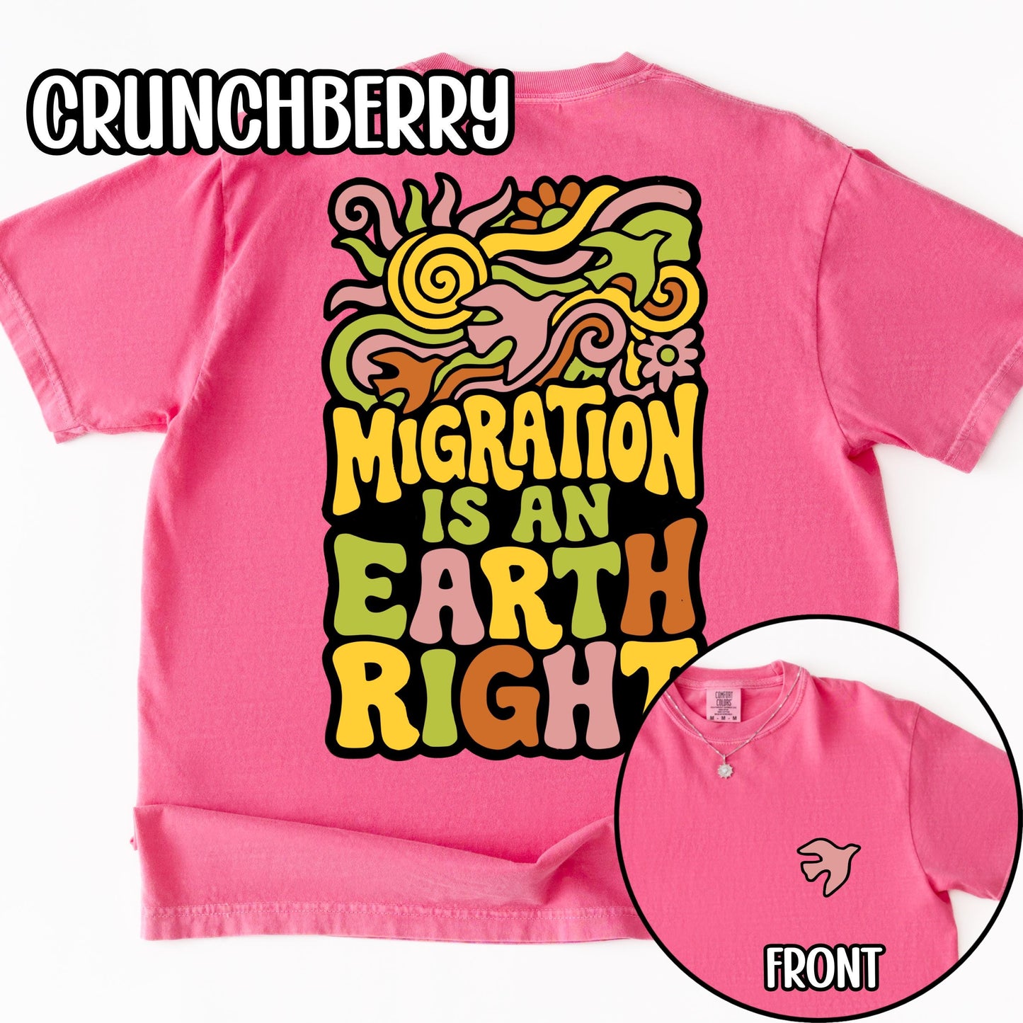 Migration Is An Earth Right Retro Shirt, Pro Immigrant Anti Ice Shirt, Gift for Birders