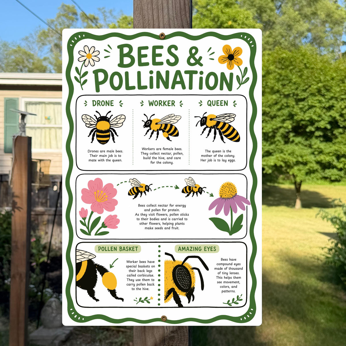 Bees & Pollination Metal Sign