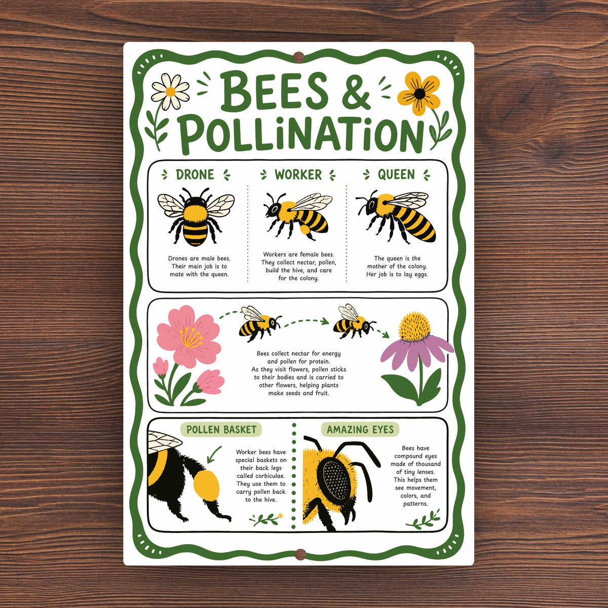 Bees & Pollination Metal Sign