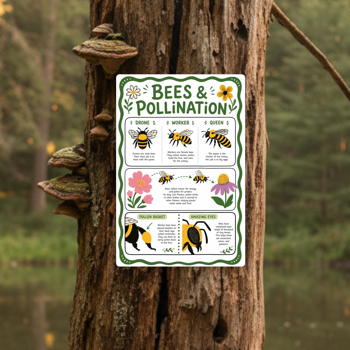 Bees & Pollination Metal Sign