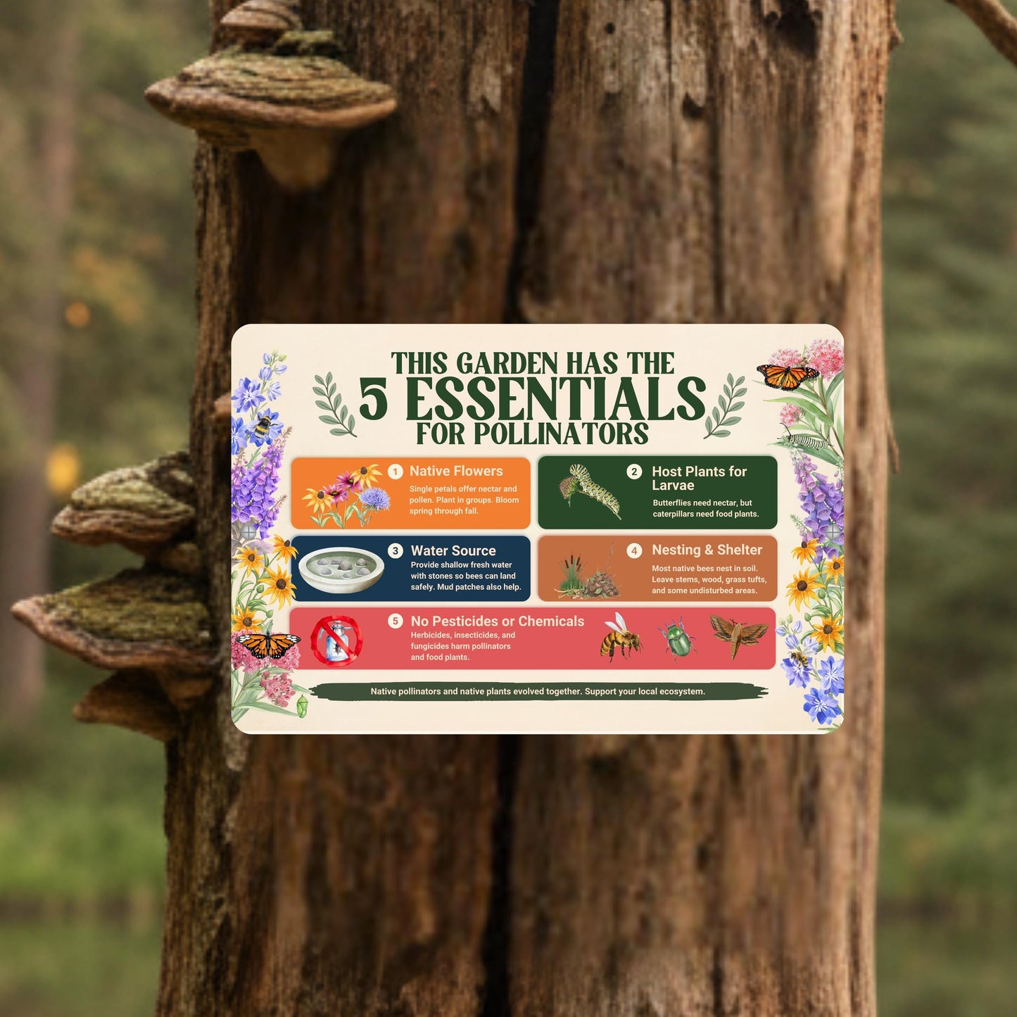 Pollinator Essentials Educational Habitat Sign, 12x8 18x12 Outdoor Rated Aluminum Sign