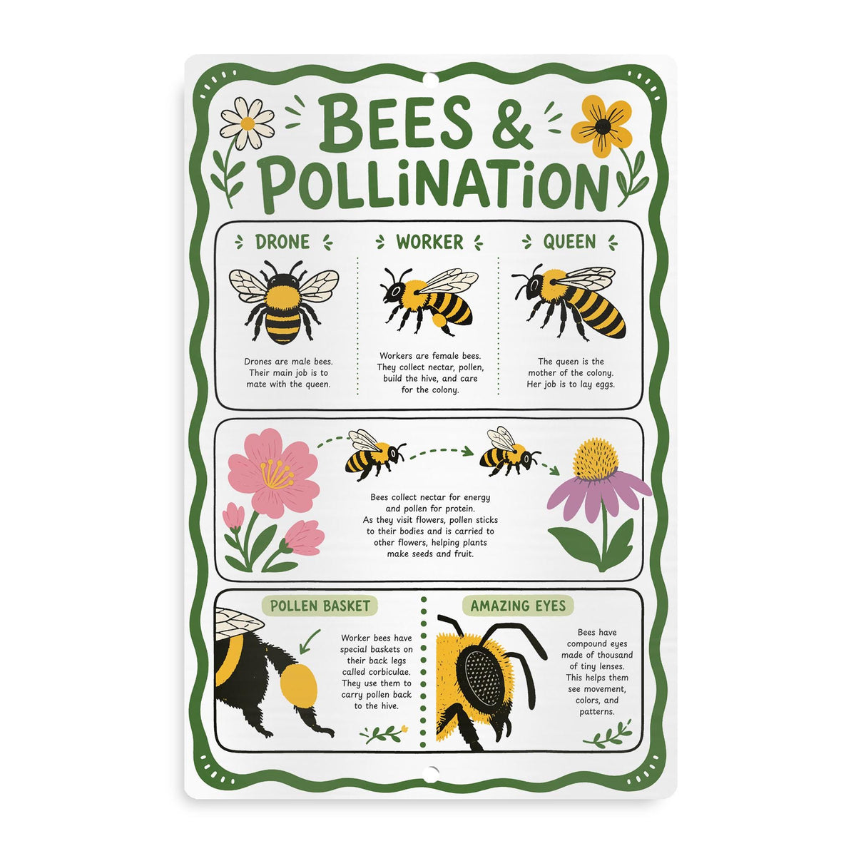 Bees & Pollination Metal Sign