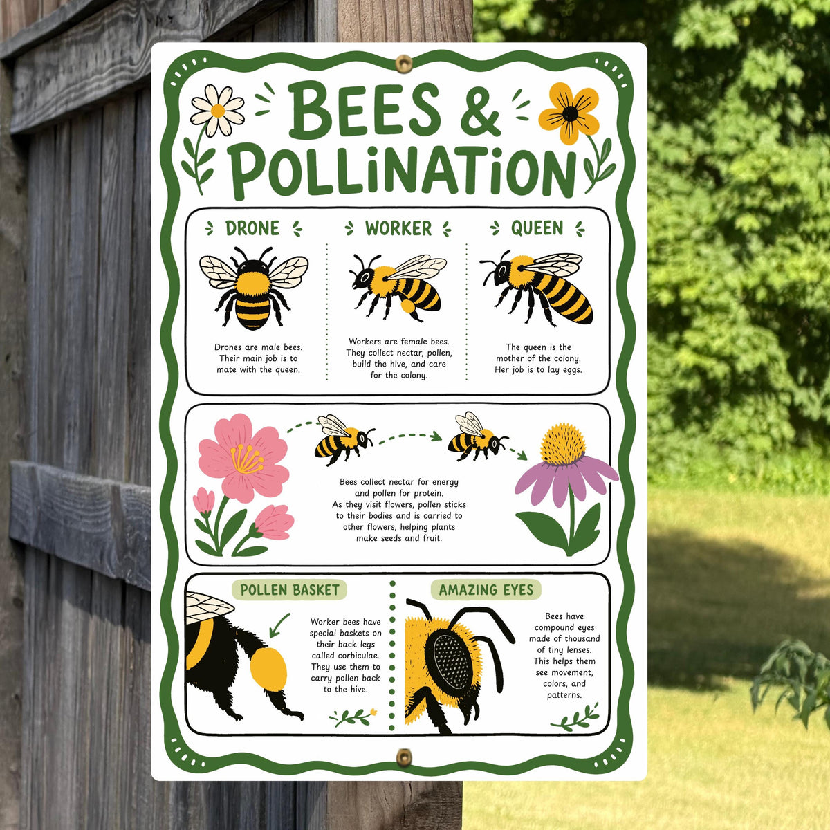 Bees & Pollination Metal Sign