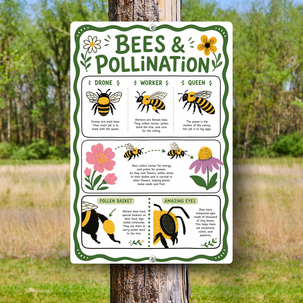 Bees & Pollination Metal Sign