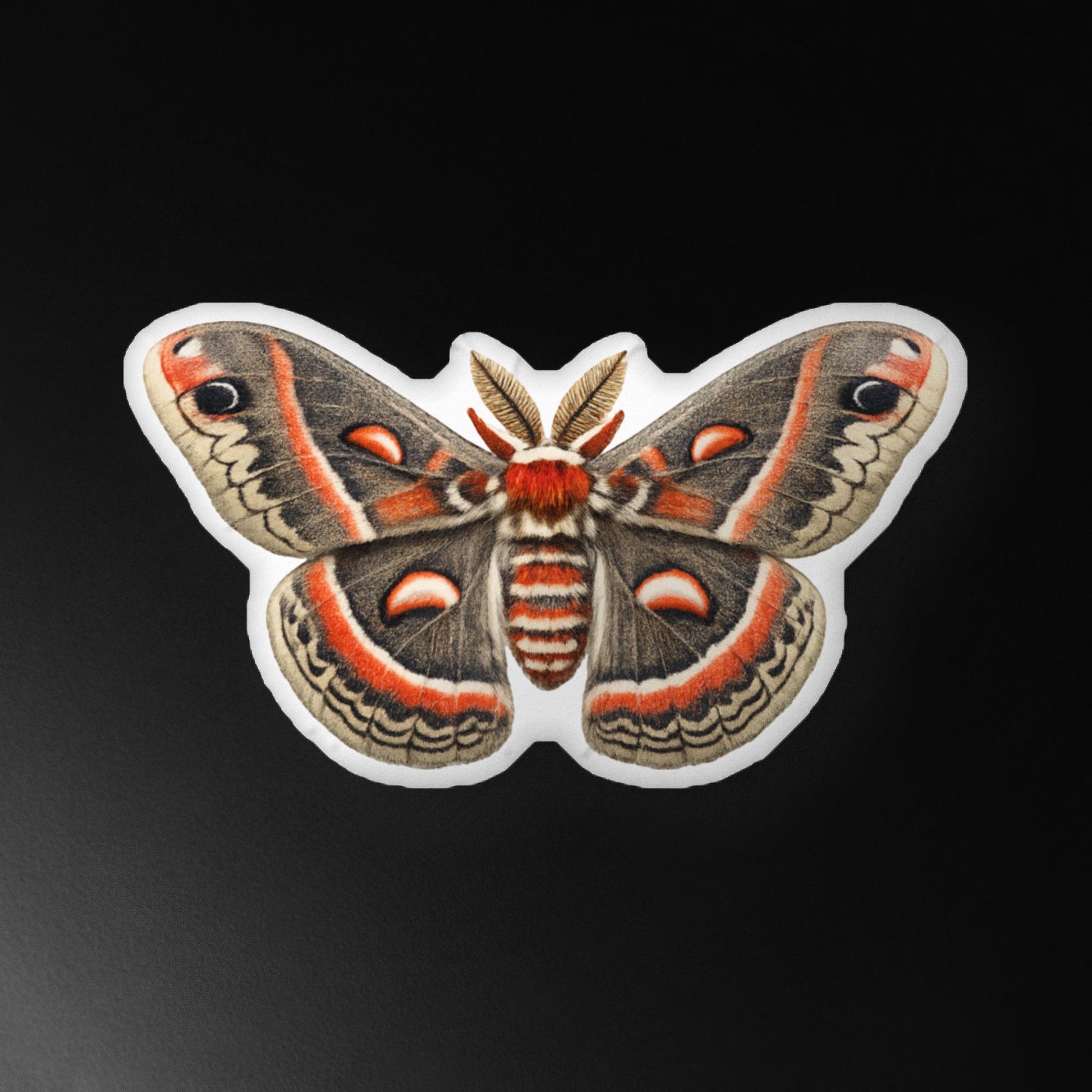 Cecropia Moth Pillow, 10x10 16x16 22x22, Whimsigoth Decor