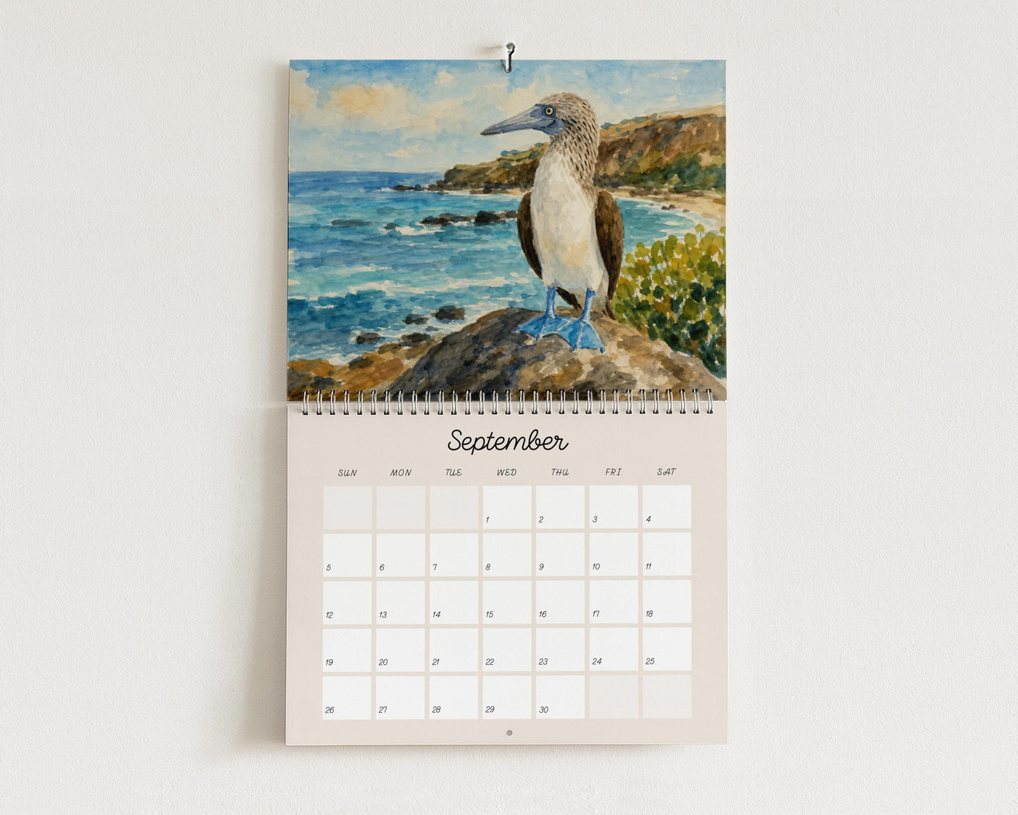 Seabirds & Shorebirds 2027 Wall Calendar - 12 Monthly Calendar - Gift for Birders